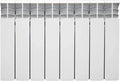 Radiatore in Alluminio Fondital Exclusivo B4, 8 Elementi, 350 mm, Bianco